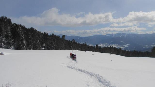2013-02-02 tossa plana (1)