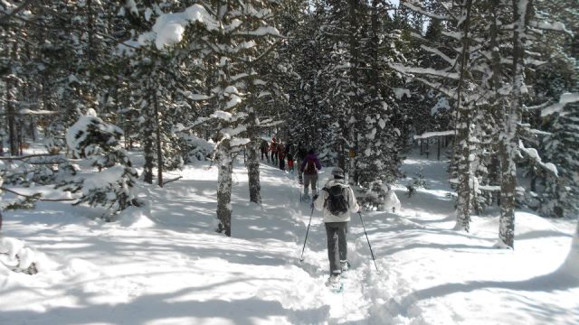2013-02-02 tossa plana (3)