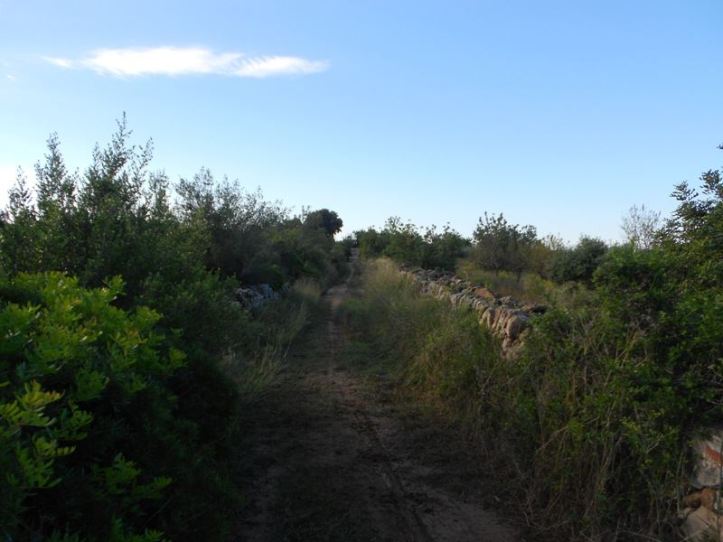 2013-10 02 circular torredembarra