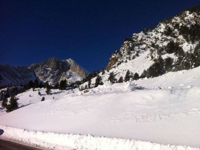 vallter 2