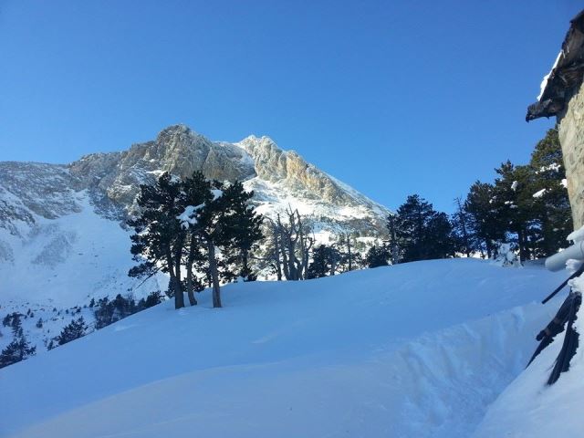 vallter 4
