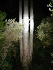 20150718_235539000_iOS