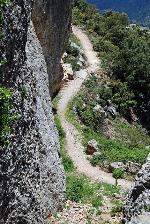 17553497_653314974851599_5784548931838409915_n