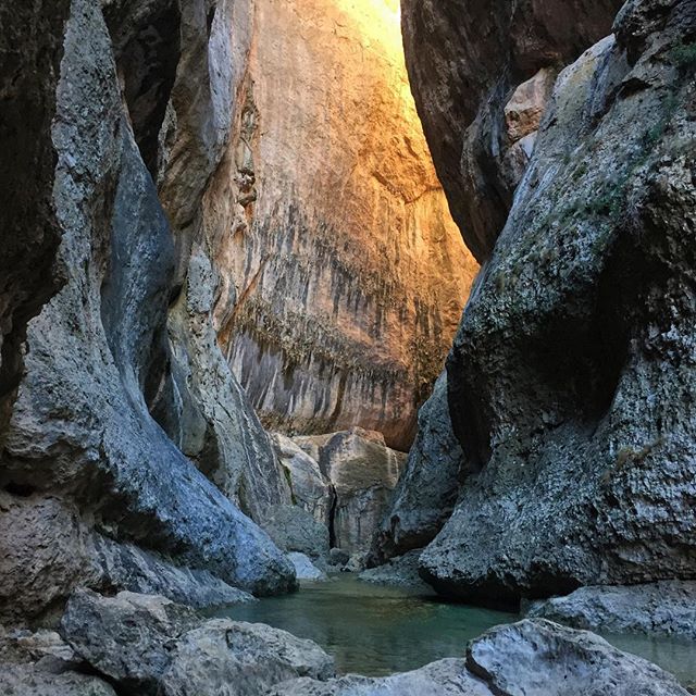 16122851_1627567690885368_5698187683457662976_n